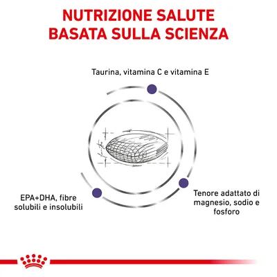 Nutrizione salute basata sulla scienza. Taurina, vitamina C e E; EPA+DHA, fibre solubili e insolubili; tenore adattato di magnesio, sodio e fosforo.