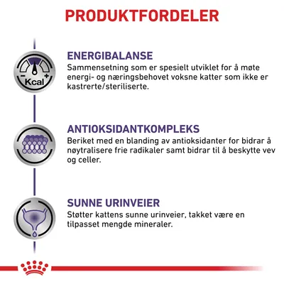 Royal Canin Expert Feline Adult