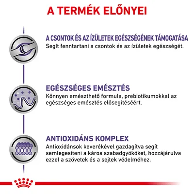 A termék előnyei: a csontok és ízületek egészségének támogatása, egészséges emésztés, antioxidáns komplex. Részletes leírás minden előnyhöz magyar nyelven.