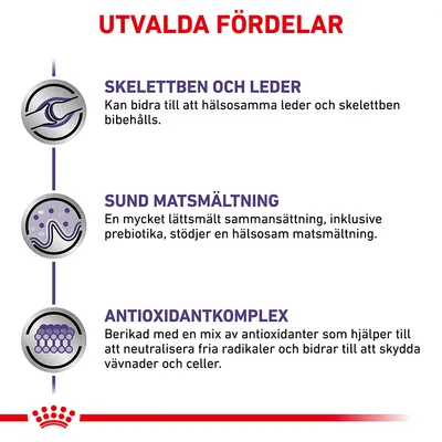 Utvalda fördelar: Skelettben och leder, sund matsmältning, antioxidantkomplex. Beskrivningar om stöd för leder, matsmältning och skydd av celler med antioxidanter.