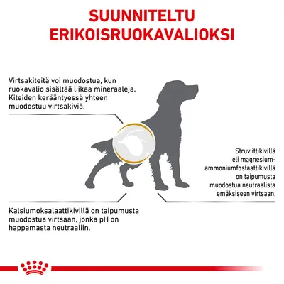 Kuvassa koiran siluetti ja tekstit: Suunniteltu erikoisruokavalioksi. Virtsakiteitä voi muodostua liiasta mineraaleista. Struviitti- ja kalsiumoksalaattikivien muodostumisesta virtsaan.