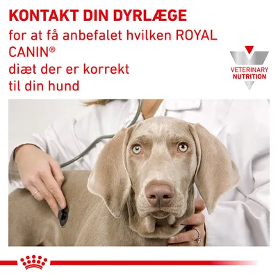 KONTAKT DIN DYRLÆGE for at få anbefalet hvilken ROYAL CANIN diæt der er korrekt til din hund. VETERINARY NUTRITION.