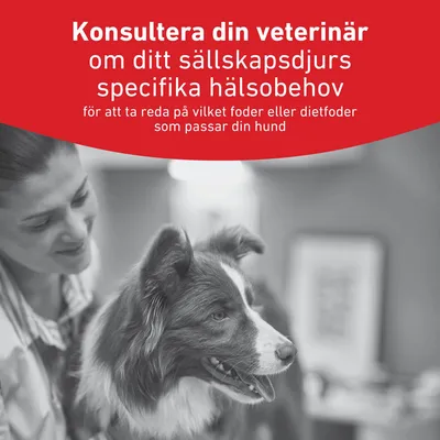 Royal Canin Veterinary Canine Glycobalance Royal Canin Veterinary Canine Glycobalance