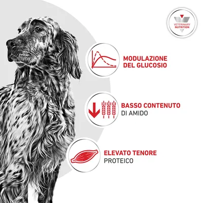 Royal Canin Veterinary Canine Glycobalance Royal Canin Veterinary Canine Glycobalance