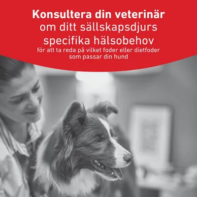Royal Canin Veterinary Canine Glycobalance Mousse