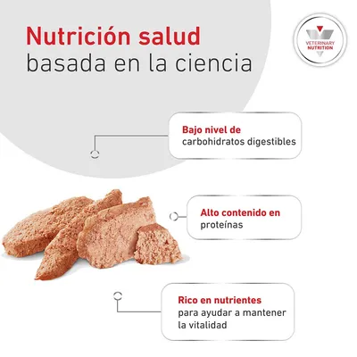 Royal Canin Veterinary Canine Glycobalance Mousse Royal Canin Veterinary Canine Glycobalance Mousse