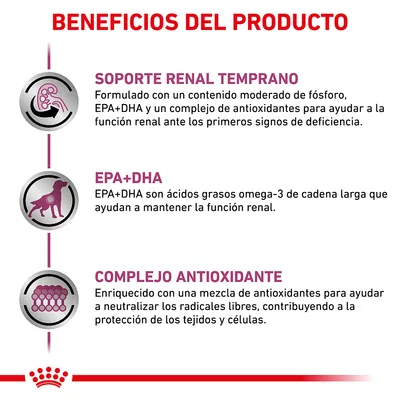 Beneficios del producto: soporte renal temprano, EPA+DHA y complejo antioxidante. Texto en español sobre el apoyo a la función renal y protección celular mediante antioxidantes.
