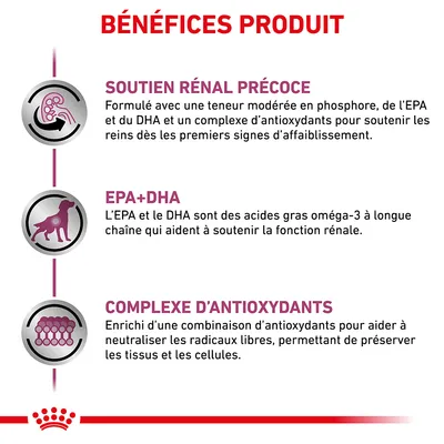 BÉNÉFICES PRODUIT : Soutien rénal précoce, EPA+DHA, complexe d’antioxydants. Détails sur la formulation et les bienfaits pour le soutien rénal et la protection cellulaire.