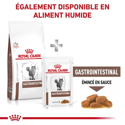 ROYAL CANIN GASTROINTESTINAL pour chat, croquettes et aliment humide émincé en sauce. Texte : ÉGALEMENT DISPONIBLE EN ALIMENT HUMIDE, GASTROINTESTINAL, ÉMINCÉ EN SAUCE.