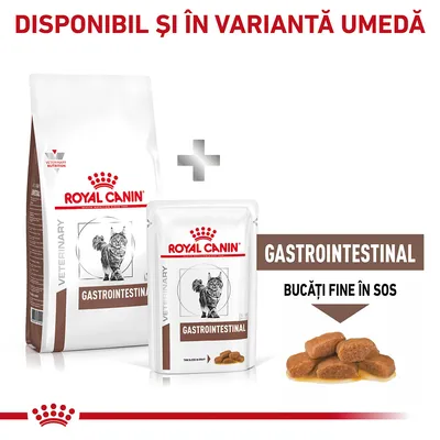 Royal Canin Veterinary Gastrointestinal pentru pisici, disponibil și în variantă umedă. Pachet cu hrană uscată și plic cu bucăți fine în sos, text vizibil: GASTROINTESTINAL, BUCĂȚI FINE ÎN SOS.