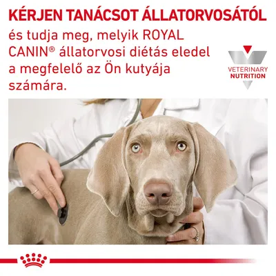 KÉRJEN TANÁCSOT ÁLLATORVOSÁTÓL és tudja meg, melyik ROYAL CANIN állatorvosi diétás eledel a megfelelő az Ön kutyája számára. VETERINARY NUTRITION