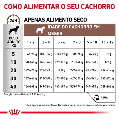 Tabela de alimentação para cachorros: quantidades diárias de alimento seco por peso adulto (5–40 kg) e idade em meses (1–12). Inclui nota sobre energia metabolizável e necessidade de água.