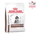Royal Canin Veterinary Canine Gastrointestinal Puppy