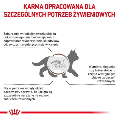 Karma opracowana dla szczególnych potrzeb żywieniowych kotów. Informacje o zaburzeniach trawienia, objawach jak wymioty i biegunka oraz ryzyku u kociąt z niedojrzałym układem pokarmowym.
