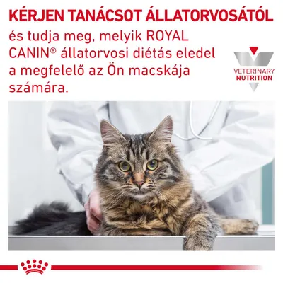 KÉRJEN TANÁCSOT ÁLLATORVOSÁTÓL, ROYAL CANIN állatorvosi diétás eledel macskáknak. VETERINARY NUTRITION felirat látható.