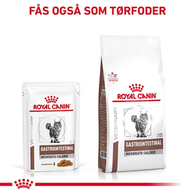 Royal Canin Gastrointestinal Moderate Calorie kattefoder, vådfoder og tørfoder, tekst: Fås også som tørfoder. Billeder af begge produkttyper med kattegrafik på emballagen.