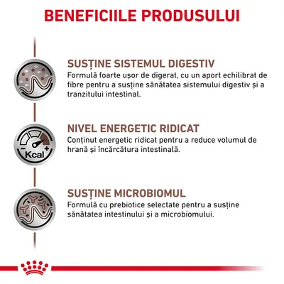 Beneficiile produsului: susține sistemul digestiv, nivel energetic ridicat, susține microbiomul. Text explicativ pentru fiecare beneficiu este inclus în imagine.
