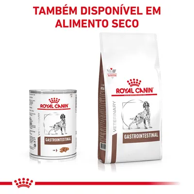 Royal Canin Gastrointestinal para cães em lata e saco. Texto visível: 'TAMBÉM DISPONÍVEL EM ALIMENTO SECO'. Imagem dos produtos com cão ilustrado nas embalagens.