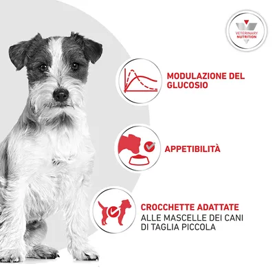 Royal Canin Veterinary Canine Glycobalance Small Dog