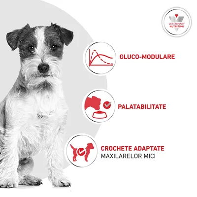 Royal Canin Veterinary Canine Glycobalance Small Dog