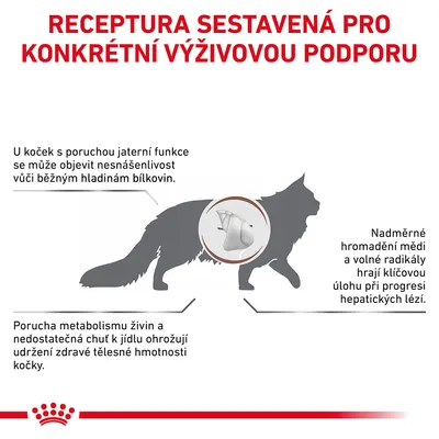 Receptura sestavená pro konkrétní výživovou podporu. Informace o jaterní funkci, metabolismu živin a hromadění mědi u koček s poruchou jater.