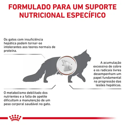Formulado para um suporte nutricional específico. Os gatos com insuficiência hepática podem tornar-se intolerantes à proteína. Metabolismo debilitado dificulta peso saudável. Acumulação de cobre e radicais livres afeta lesões hepáticas.
