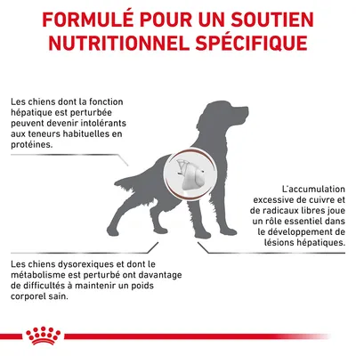 Formulé pour un soutien nutritionnel spécifique. Les chiens à fonction hépatique perturbée peuvent devenir intolérants aux protéines, avoir du mal à maintenir leur poids et accumuler du cuivre.