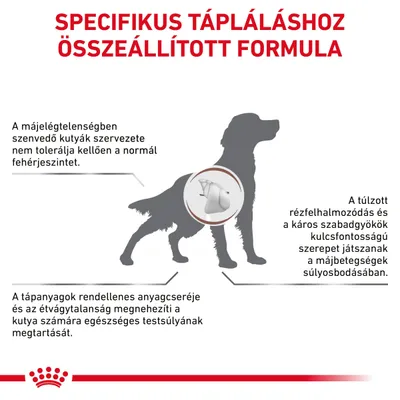 Specifikus tápláláshoz összeállított formula. Májelégtelenségben szenvedő kutyák fehérje-tolerancia, rézfelhalmozódás, szabadgyökök és anyagcsere problémái kiemelve.