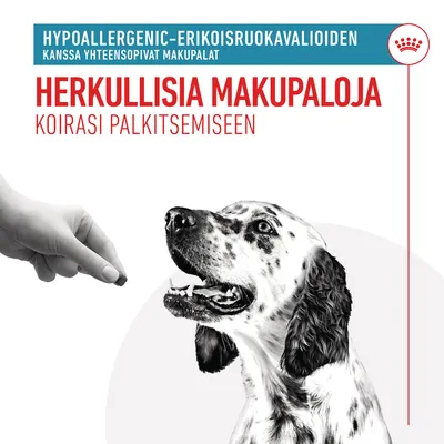 HYPOALLERGENIC-ERIKOISRUOKAVALIOIDEN kanssa yhteensopivat makupalat. Herkullisia makupaloja koirasi palkitsemiseen. Kuvassa käsi antaa makupalan koiralle.
