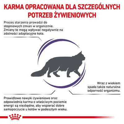 Karma opracowana dla szczególnych potrzeb żywieniowych kotów starszych. Informacje o zmianach w organizmie, spadku odporności i znaczeniu odpowiedniej diety dla seniorów.