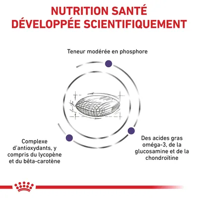 NUTRITION SANTÉ DÉVELOPPÉE SCIENTIFIQUEMENT. Teneur modérée en phosphore. Complexe d’antioxydants, y compris du lycopène et du bêta-carotène. Acides gras oméga-3, glucosamine, chondroïtine.