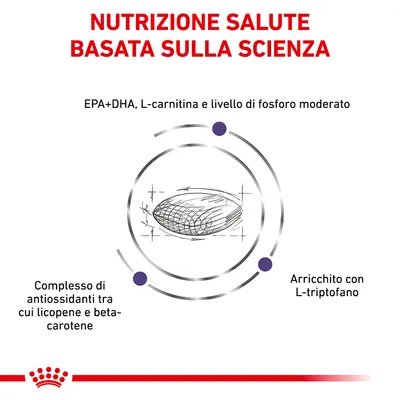 Nutrizione salute basata sulla scienza. EPA+DHA, L-carnitina e livello di fosforo moderato. Complesso di antiossidanti tra cui licopene e beta-carotene. Arricchito con L-triptofano.