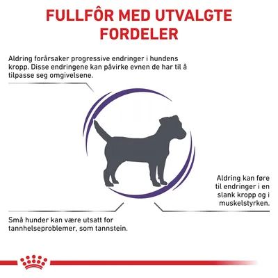 Royal Canin Expert Canine Mature Consult Small Dog