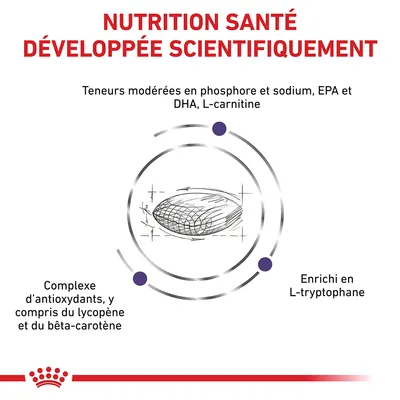 NUTRITION SANTÉ DÉVELOPPÉE SCIENTIFIQUEMENT. Teneurs modérées en phosphore et sodium, EPA et DHA, L-carnitine. Complexe d’antioxydants, lycopène, bêta-carotène. Enrichi en L-tryptophane.