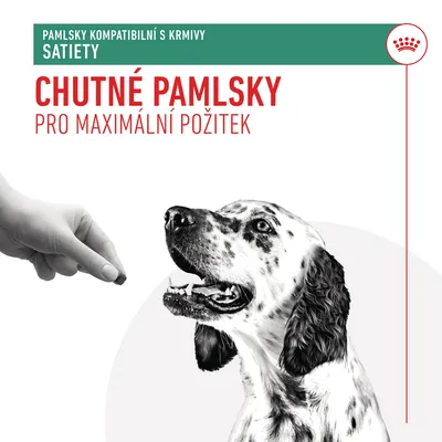 Text: Pamlsky kompatibilní s krmivy Satiety. Chutné pamlsky pro maximální požitek. Ruka podává pamlsek psovi s černými skvrnami.
