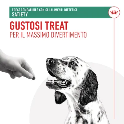 Testo visibile: Treat compatibile con gli alimenti dietetici Satiety. Gustosi treat per il massimo divertimento. Mano che offre uno snack a un cane bianco e nero.