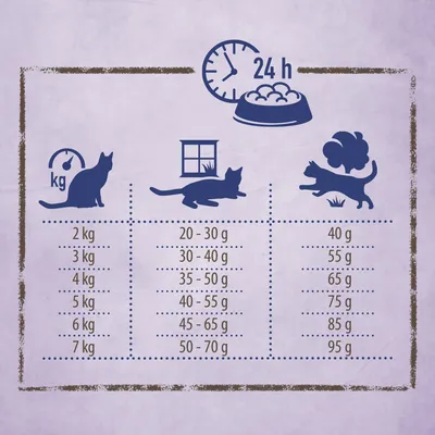 Zalecenia żywieniowe dla kotów w zależności od wagi i aktywności: 2kg 20-30g, 3kg 30-40g, 4kg 35-50g, 5kg 40-55g, 6kg 45-65g, 7kg 50-70g. Bardziej aktywne koty potrzebują więcej karmy.