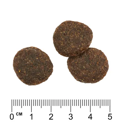 Drei braune, runde Futterstücke mit einer Grösse von etwa 4 cm, dargestellt neben einem Lineal zur Grössenangabe.