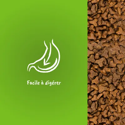 Facile à digérer