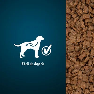 Pienso para perros con texto visible: Fácil de digerir, silueta de perro con flechas en el abdomen y símbolo de verificación.