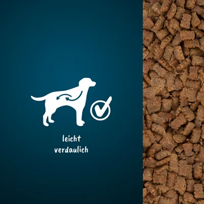 Illustration eines Hundes mit Verdauungssymbol und Text 'leicht verdaulich' neben einer Nahaufnahme von braunen Kroketten.