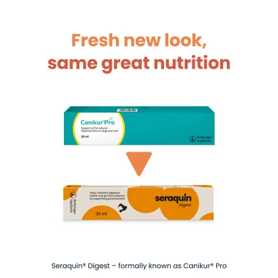 Seraquin Digest for Cats & Dogs