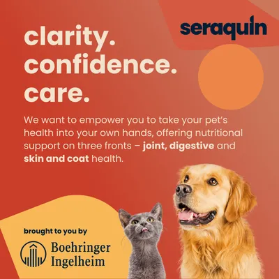 Seraquin Digest for Cats & Dogs