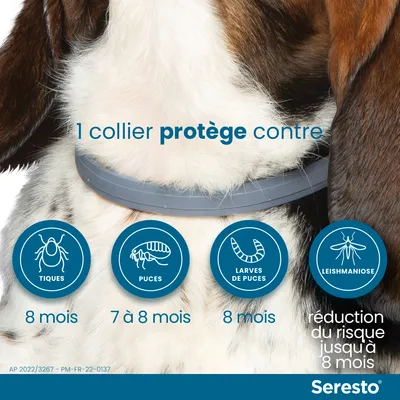 Seresto collier sur chien, texte : 1 collier protège contre tiques 8 mois, puces 7 à 8 mois, larves de puces 8 mois, leishmaniose, réduction du risque jusqu’à 8 mois.