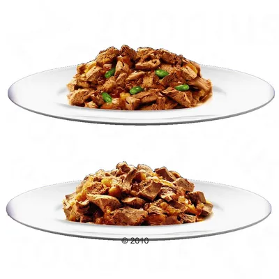 Two white plates with chunks of brown wet pet food, top plate includes visible green vegetable pieces, bottom plate shows only brown food. No packaging or branding visible.