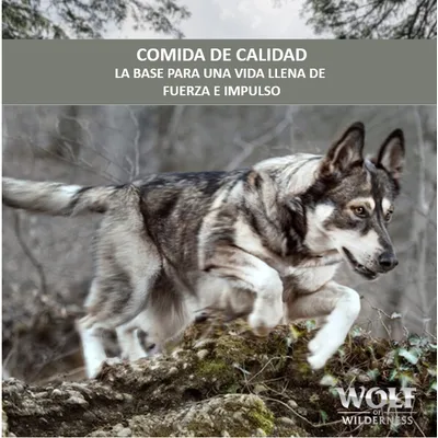 COMIDA DE CALIDAD. La base para una vida llena de fuerza e impulso. Wolf of Wilderness.