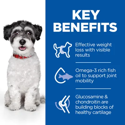 Key benefits: αποτελεσματική απώλεια βάρους, ιχθυέλαιο πλούσιο σε ωμέγα-3 για υγεία αρθρώσεων, γλυκοζαμίνη και χονδροϊτίνη για υγιή χόνδρο. Το κείμενο είναι στα αγγλικά.