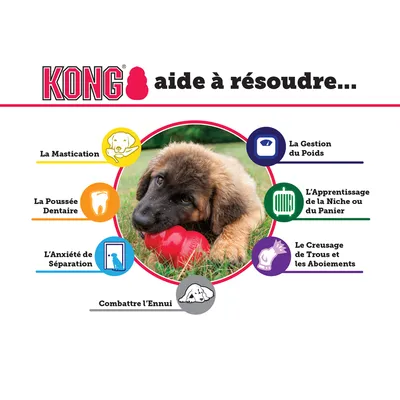 KONG aide à résoudre : la mastication, la poussée dentaire, l’anxiété de séparation, combattre l’ennui, la gestion du poids, l’apprentissage de la niche ou du panier, le creusage de trous et les aboiements.