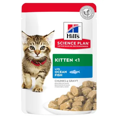 Pouch labelled Science Plan Kitten under 1 with ocean fish, chunks and gravy, showing food pieces in sauce and a kitten image. No artificial preservatives, flavours or colours.
