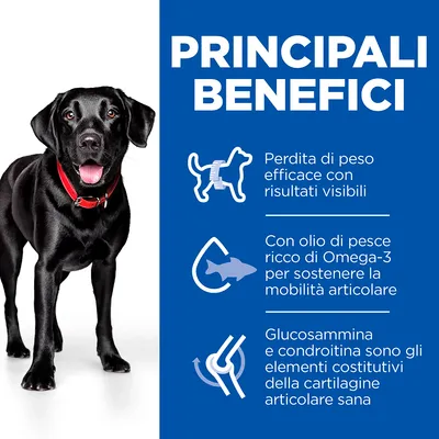 PRINCIPALI BENEFICI: Perdita di peso efficace con risultati visibili. Con olio di pesce ricco di Omega-3 per sostenere la mobilità articolare. Glucosammina e condroitina per cartilagine sana.